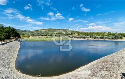 BORNOVA HOMEROS VADİSİNDE GÖLE KOMŞU SATILIK ARSA