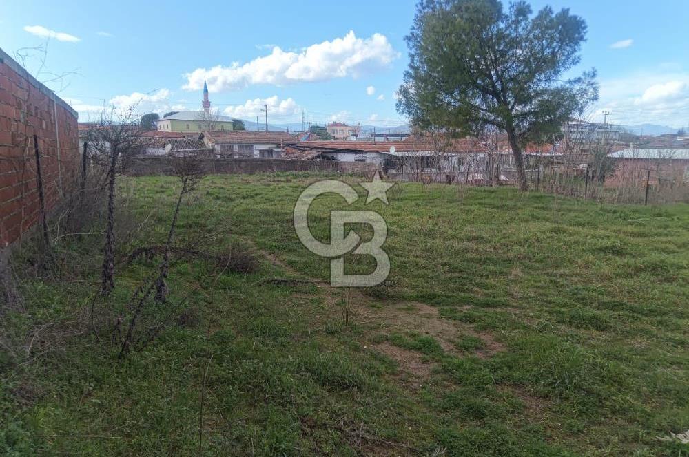 SARUHANLI KAYISLAR'DA  İMARLI ARSA