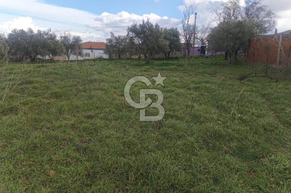 SARUHANLI KAYISLAR'DA  İMARLI ARSA