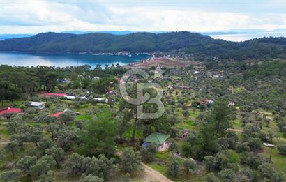 AKBÜK'TE DENİZ MANZARALI SATILIK 2+1 EV VE ZEYTİNLİ TARLA