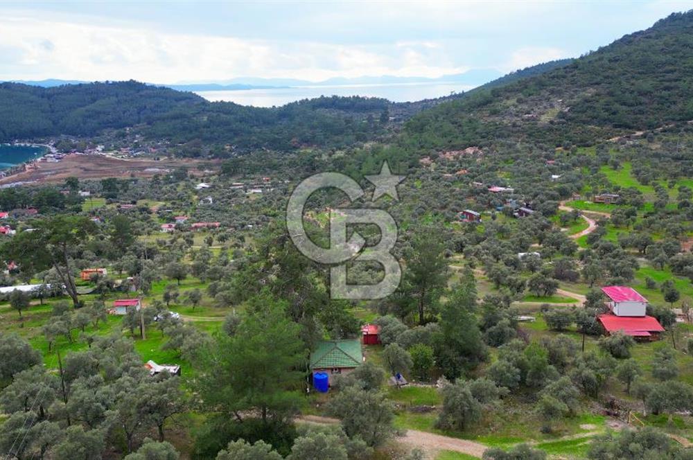 AKBÜK'TE DENİZ MANZARALI SATILIK 2+1 EV VE ZEYTİNLİ TARLA