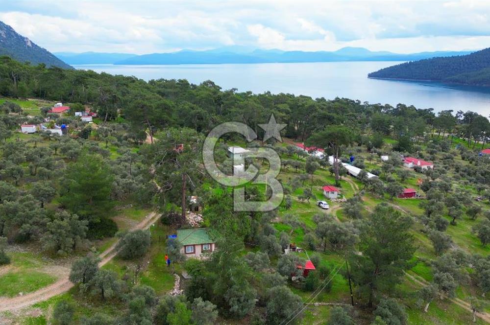 AKBÜK'TE DENİZ MANZARALI SATILIK 2+1 EV VE ZEYTİNLİ TARLA