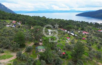 AKBÜK'TE DENİZ MANZARALI SATILIK 2+1 EV VE ZEYTİNLİ TARLA