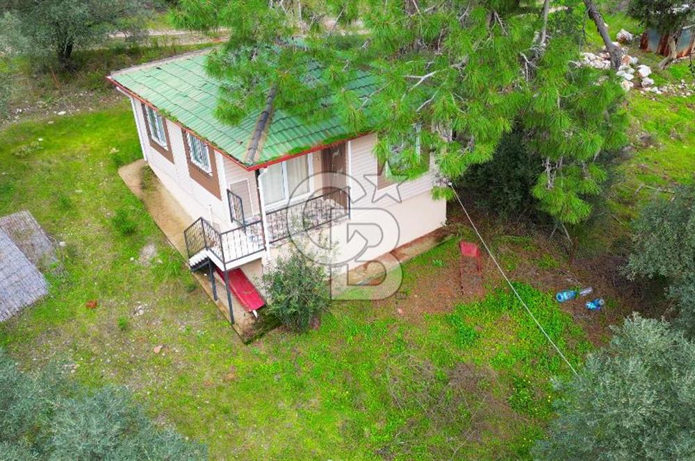 AKBÜK'TE DENİZ MANZARALI SATILIK 2+1 EV VE ZEYTİNLİ TARLA