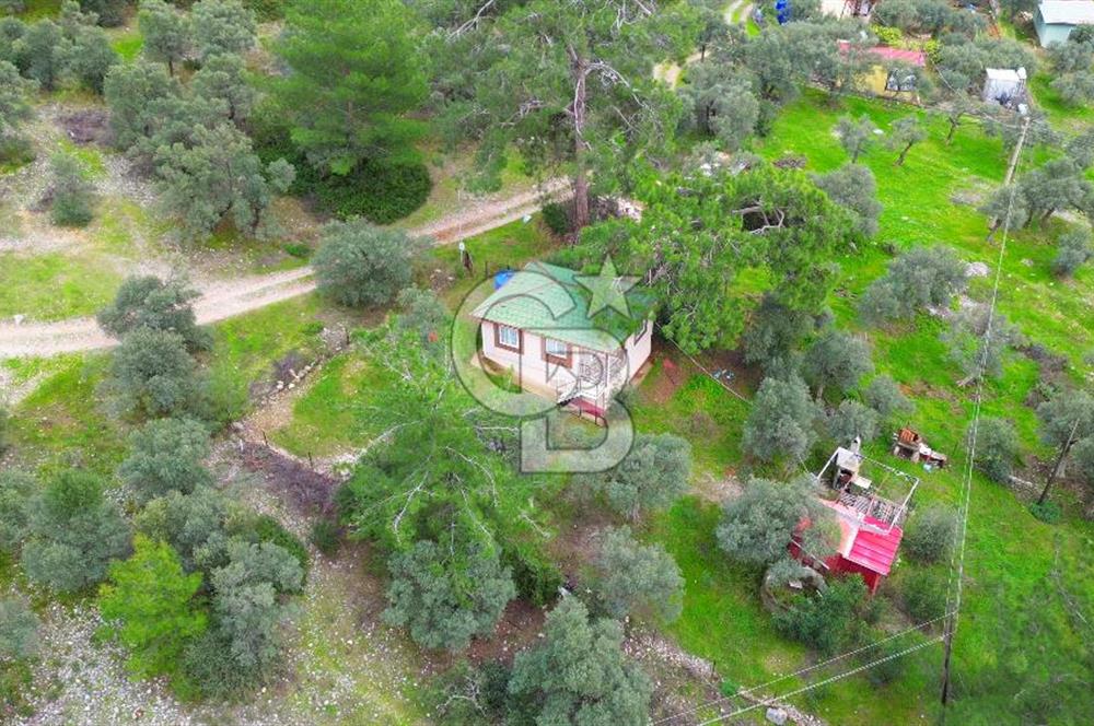 AKBÜK'TE DENİZ MANZARALI SATILIK 2+1 EV VE ZEYTİNLİ TARLA