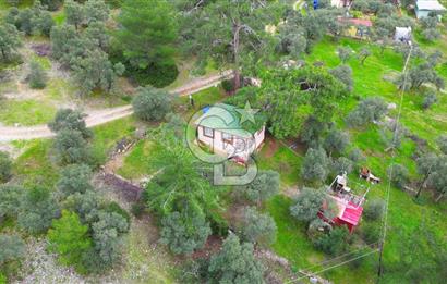 AKBÜK'TE DENİZ MANZARALI SATILIK 2+1 EV VE ZEYTİNLİ TARLA