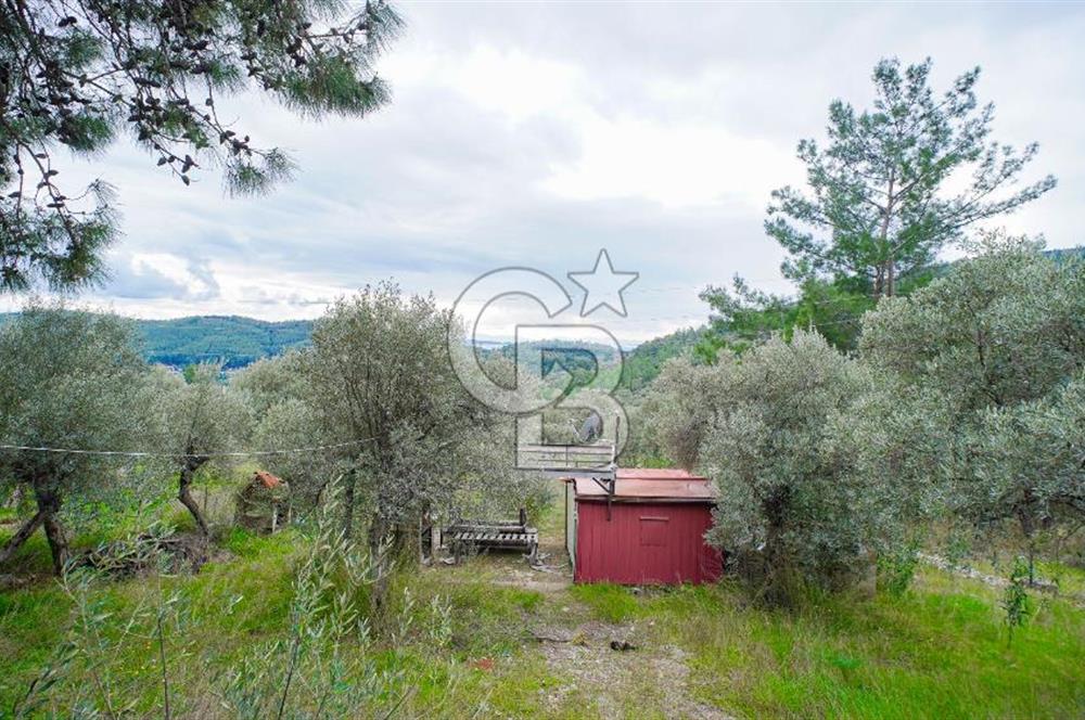 AKBÜK'TE DENİZ MANZARALI SATILIK 2+1 EV VE ZEYTİNLİ TARLA