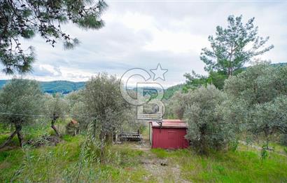 AKBÜK'TE DENİZ MANZARALI SATILIK 2+1 EV VE ZEYTİNLİ TARLA