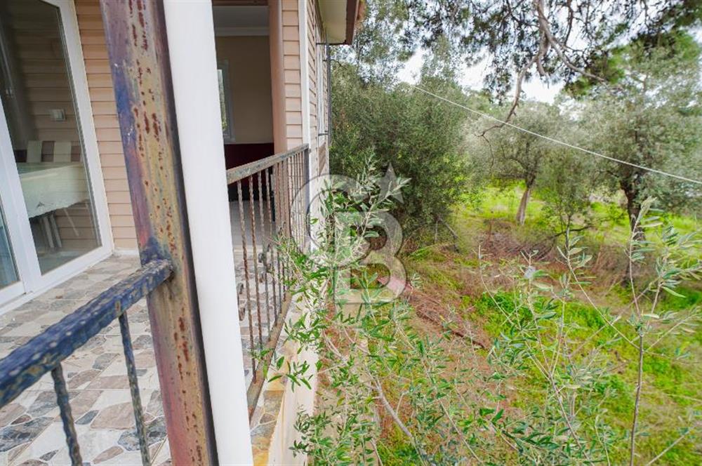 AKBÜK'TE DENİZ MANZARALI SATILIK 2+1 EV VE ZEYTİNLİ TARLA