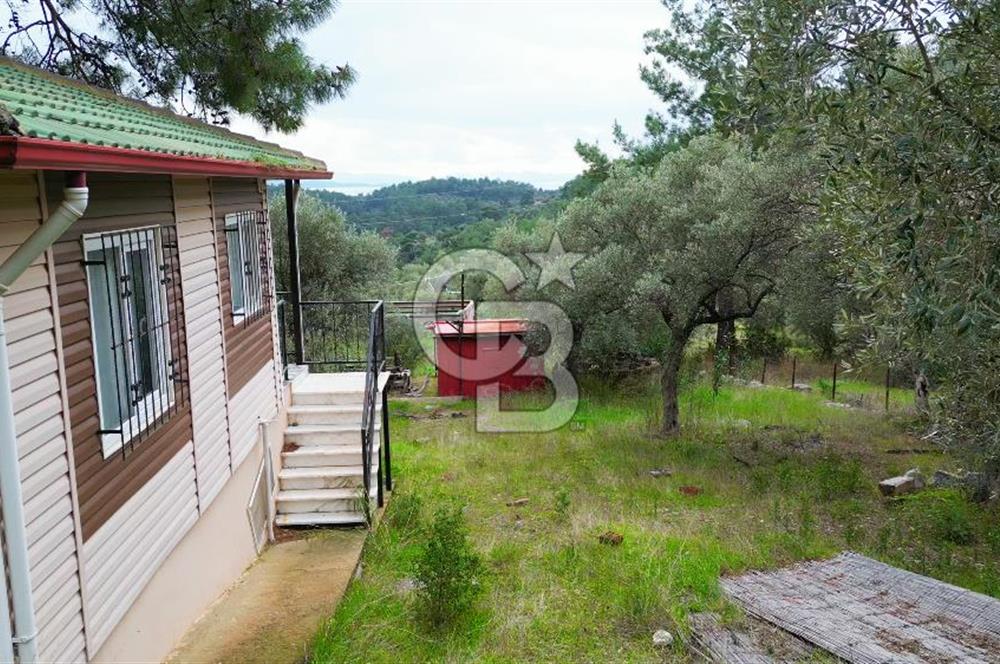 AKBÜK'TE DENİZ MANZARALI SATILIK 2+1 EV VE ZEYTİNLİ TARLA