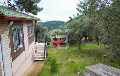 AKBÜK'TE DENİZ MANZARALI SATILIK 2+1 EV VE ZEYTİNLİ TARLA