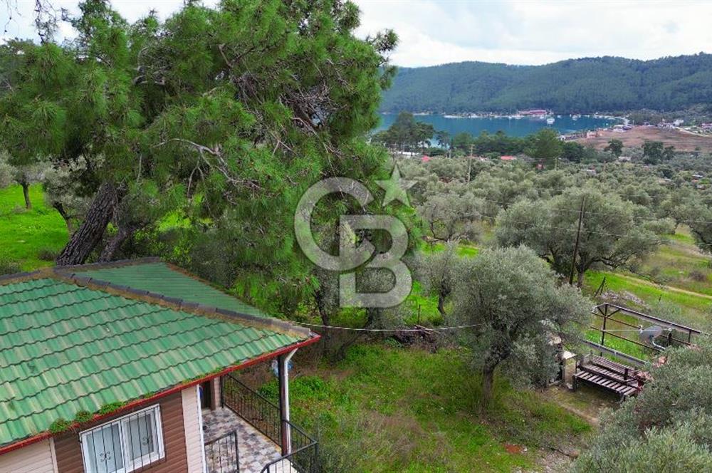 AKBÜK'TE DENİZ MANZARALI SATILIK 2+1 EV VE ZEYTİNLİ TARLA