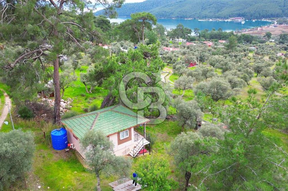 AKBÜK'TE DENİZ MANZARALI SATILIK 2+1 EV VE ZEYTİNLİ TARLA