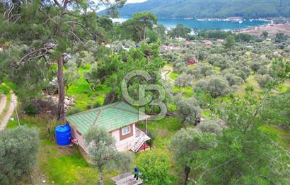 AKBÜK'TE DENİZ MANZARALI SATILIK 2+1 EV VE ZEYTİNLİ TARLA