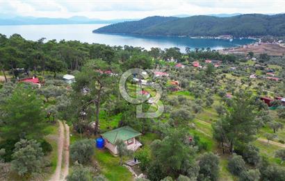 AKBÜK'TE DENİZ MANZARALI SATILIK 2+1 EV VE ZEYTİNLİ TARLA