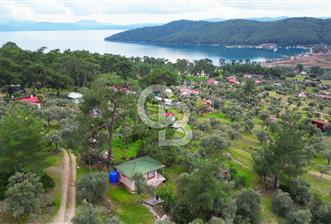 AKBÜK'TE DENİZ MANZARALI SATILIK 2+1 EV VE ZEYTİNLİ TARLA - 1 - 335098