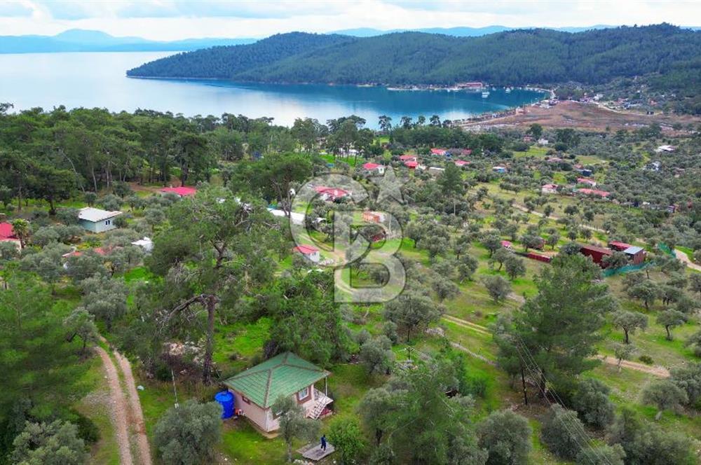 AKBÜK'TE DENİZ MANZARALI SATILIK 2+1 EV VE ZEYTİNLİ TARLA