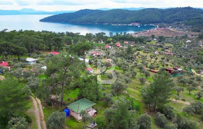 AKBÜK'TE DENİZ MANZARALI SATILIK 2+1 EV VE ZEYTİNLİ TARLA