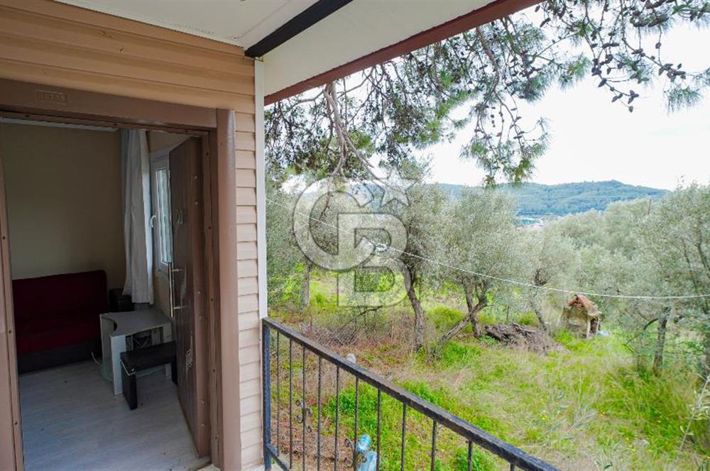 AKBÜK'TE DENİZ MANZARALI SATILIK 2+1 EV VE ZEYTİNLİ TARLA