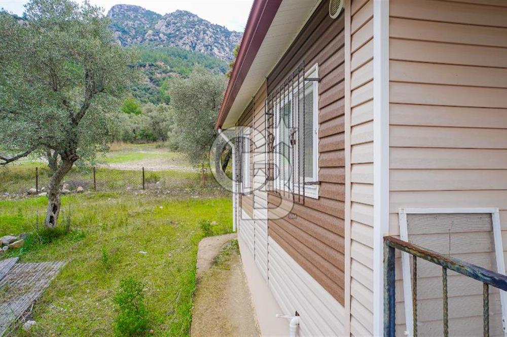 AKBÜK'TE DENİZ MANZARALI SATILIK 2+1 EV VE ZEYTİNLİ TARLA