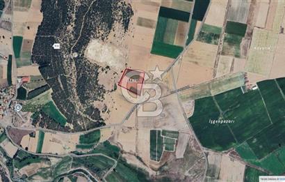 Denizli Acıpayam Bedirbey İmar Hattına 400 m 22.377 m² Tarla