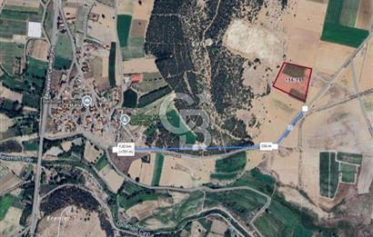 Denizli Acıpayam Bedirbey İmar Hattına 400 m 22.377 m² Tarla