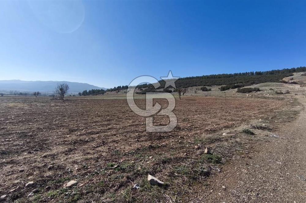 Denizli Acıpayam Bedirbey İmar Hattına 400 m 22.377 m² Tarla