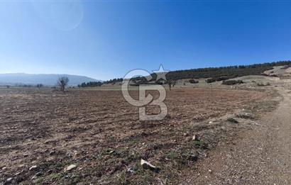 Denizli Acıpayam Bedirbey İmar Hattına 400 m 22.377 m² Tarla