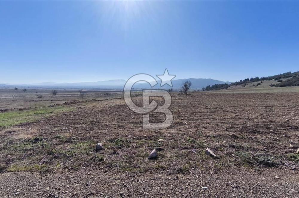 Denizli Acıpayam Bedirbey İmar Hattına 400 m 22.377 m² Tarla