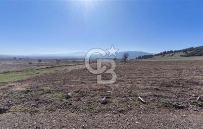 Denizli Acıpayam Bedirbey İmar Hattına 400 m 22.377 m² Tarla