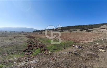 Denizli Acıpayam Bedirbey İmar Hattına 400 m 22.377 m² Tarla