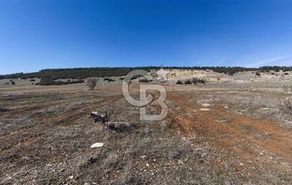 Denizli Acıpayam Bedirbey İmar Hattına 400 m 22.377 m² Tarla