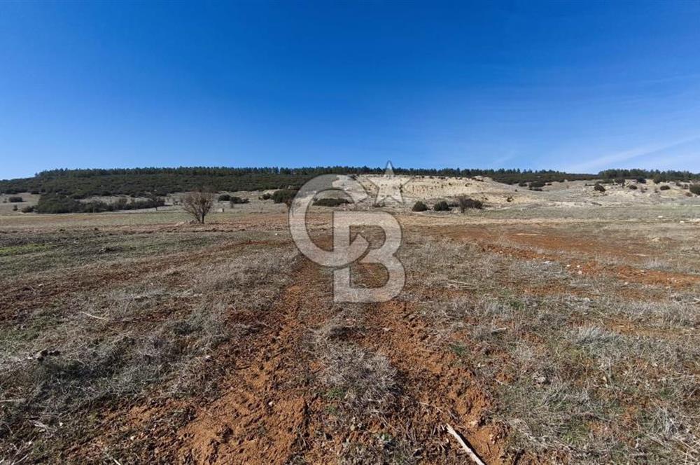 Denizli Acıpayam Bedirbey İmar Hattına 400 m 22.377 m² Tarla