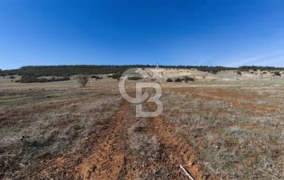 Denizli Acıpayam Bedirbey İmar Hattına 400 m 22.377 m² Tarla