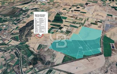 Denizli Acıpayam Bedirbey İmar Hattına 400 m 22.377 m² Tarla