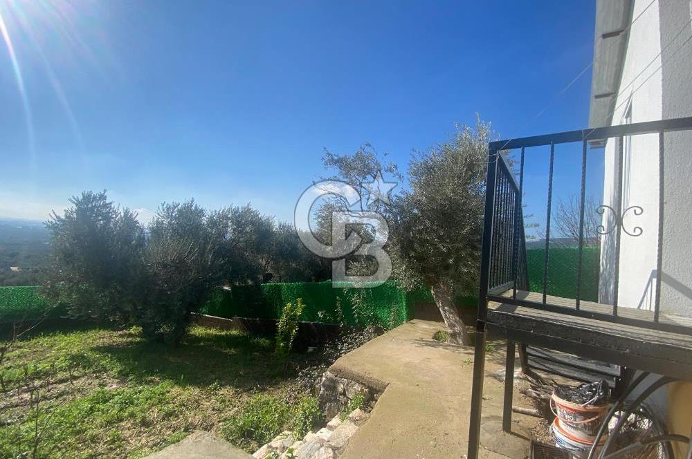 Museland-Torbalı'da Satılık Zeytinlik ve Prefabrik Ev 