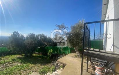 Museland-Torbalı'da Satılık Zeytinlik ve Prefabrik Ev 