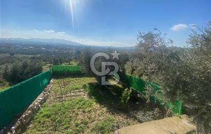 Museland-Torbalı'da Satılık Zeytinlik ve Prefabrik Ev 