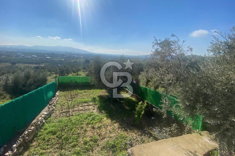 Museland-Torbalı'da Satılık Zeytinlik ve Prefabrik Ev 