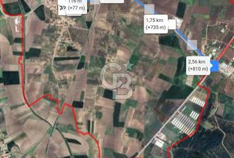 SARUHANLI KAYISLAR'DA  İMARLI ARSA - 6 - 335122