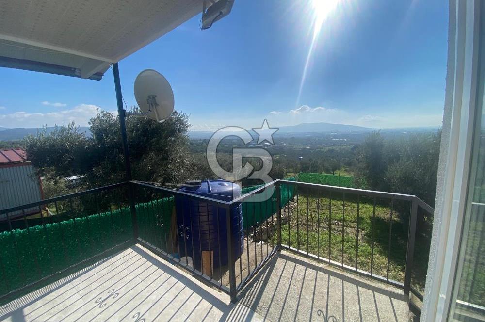 Museland-Torbalı'da Satılık Zeytinlik ve Prefabrik Ev 