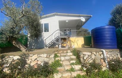 Museland-Torbalı'da Satılık Zeytinlik ve Prefabrik Ev 