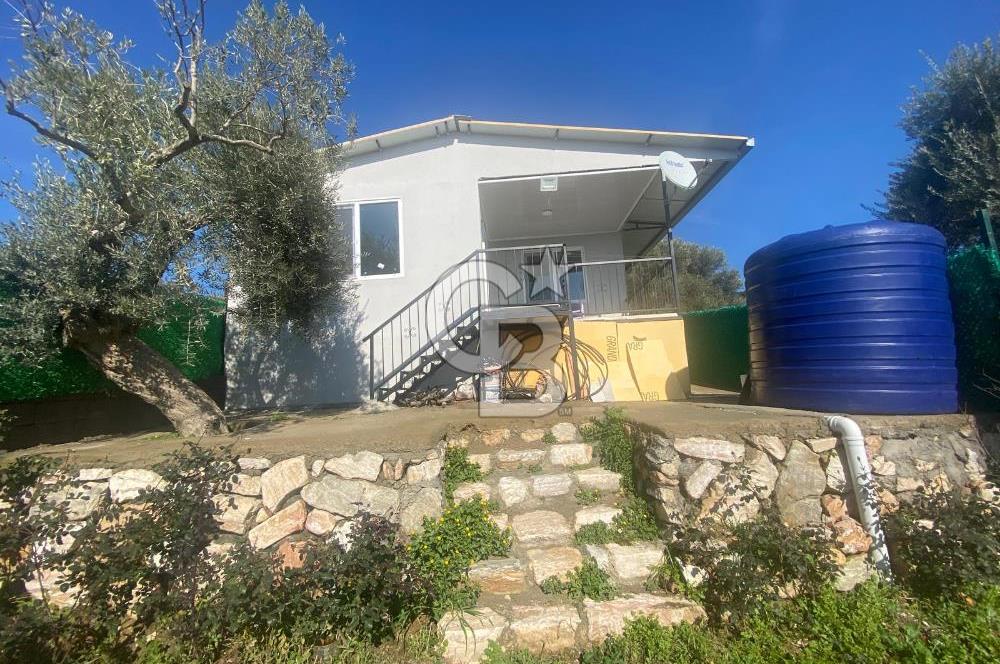 Museland-Torbalı'da Satılık Zeytinlik ve Prefabrik Ev 