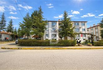 BAŞİSKELE YENİKÖY'DE 3+1 KİRALIK ARAKAT - 4 - 333905