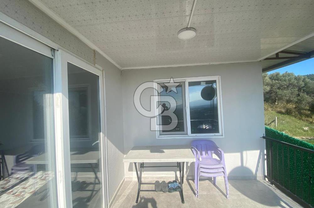 Museland-Torbalı'da Satılık Zeytinlik ve Prefabrik Ev 