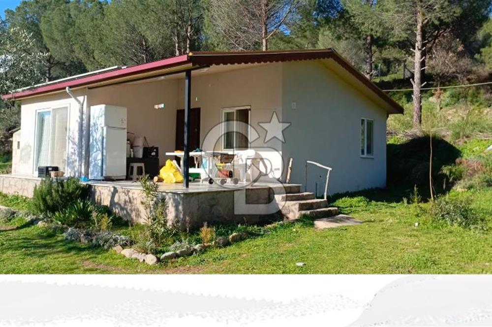 Dikili Turizm İmarlı İçinde 3 Adet Çiftlik Evi 11.450M2 Satılık