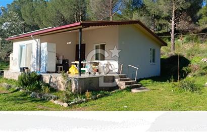 Dikili Turizm İmarlı İçinde 3 Adet Çiftlik Evi 11.450M2 Satılık