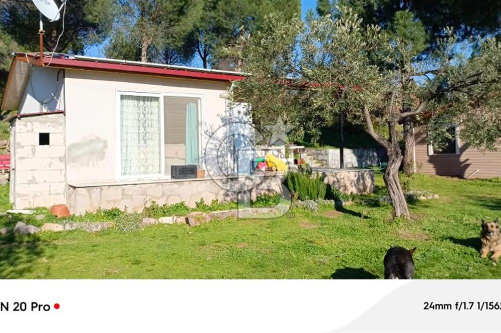 Dikili Turizm İmarlı İçinde 3 Adet Çiftlik Evi 11.450M2 Satılık