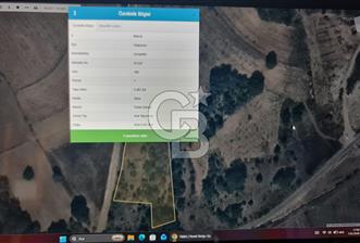 BİLECİK GÖLPAZARI ÇENGELLERDE SATILIK ARAZİ - 1 - 335247