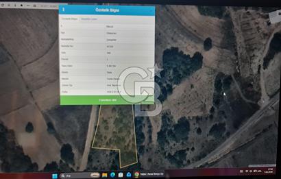 BİLECİK GÖLPAZARI ÇENGELLERDE SATILIK ARAZİ